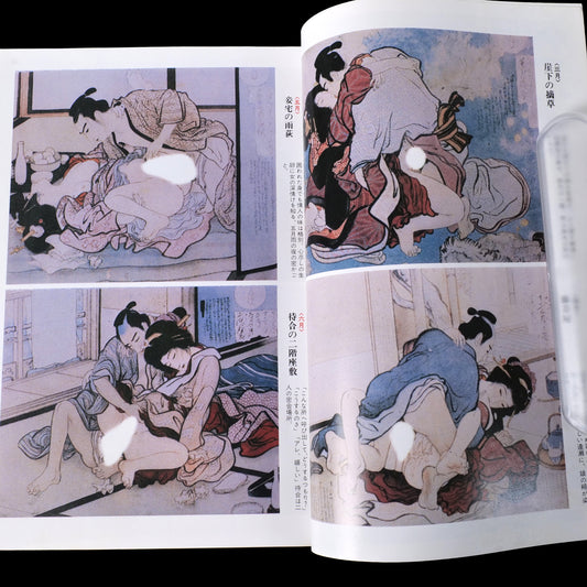 Secret Photo Collection - August, Special Issue - 1985