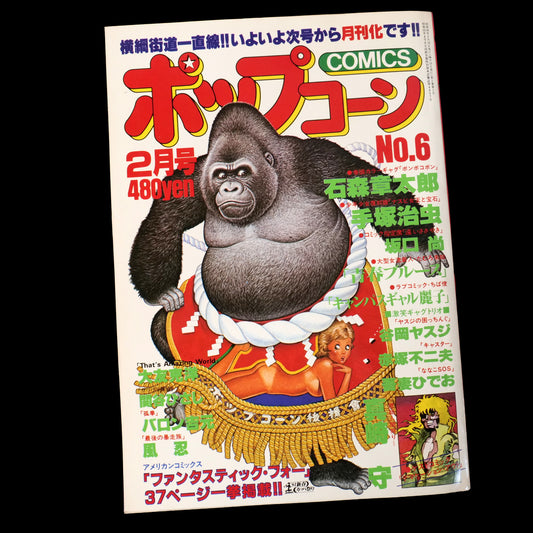 Popcorn Comics Vol.6 Final Issue (1981)
