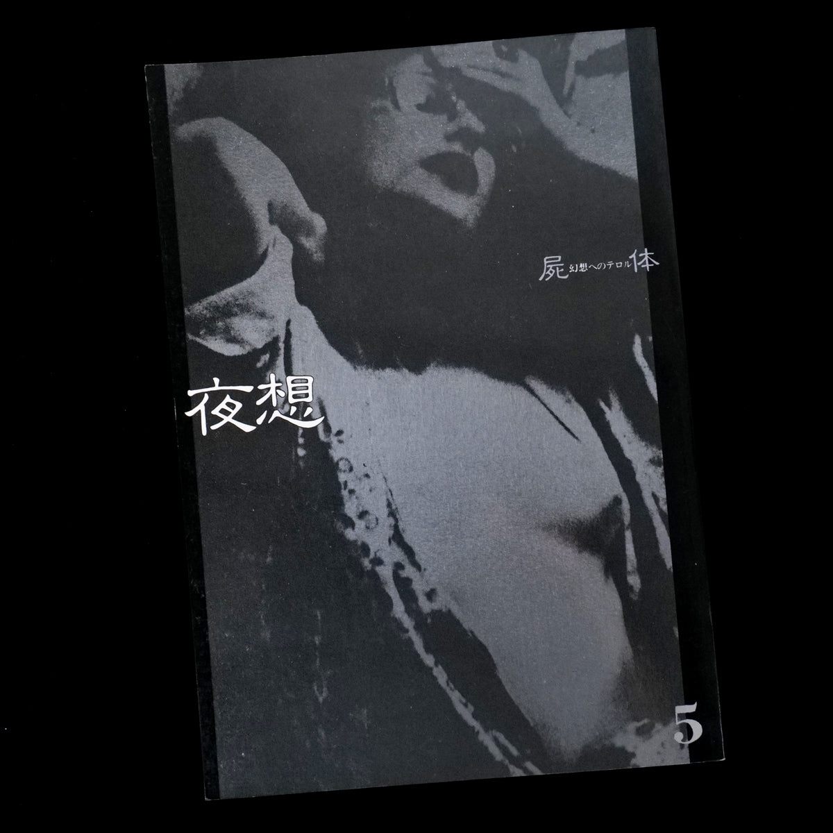 Yaso No.5 Corpse : Terror of Fantasy (1982)