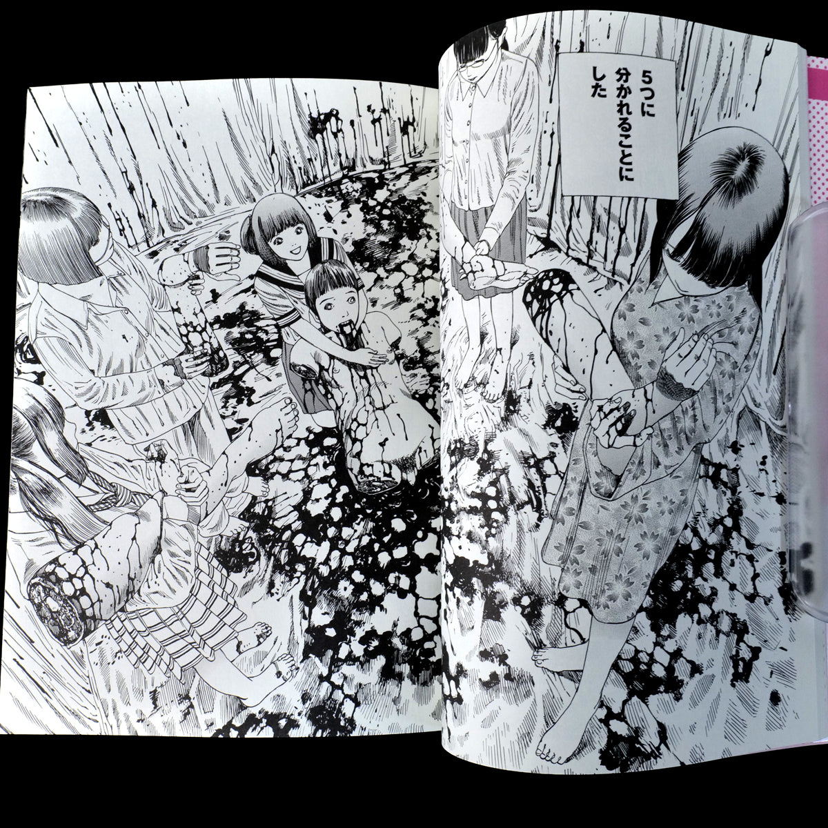 [SIGNED] Harem End - Shintaro Kago