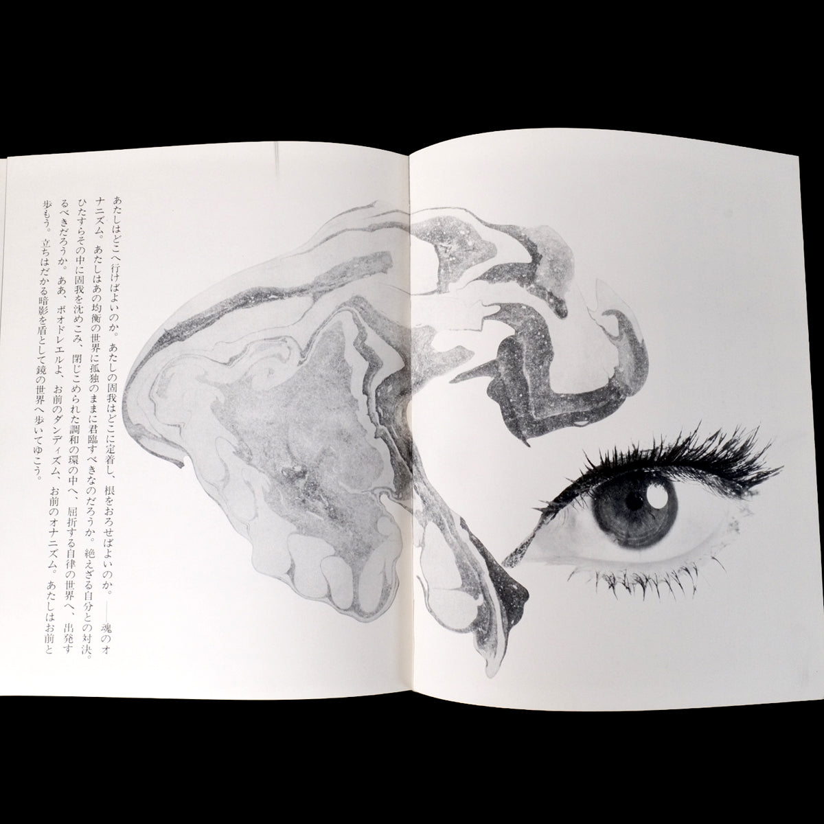 Les Fleurs du Mal - Mako Midori / Akira Suzuki (1968)