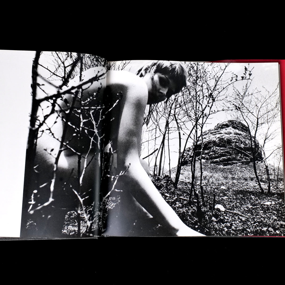 Ema Nude in Africa - Masaya Nakamura  (1978)
