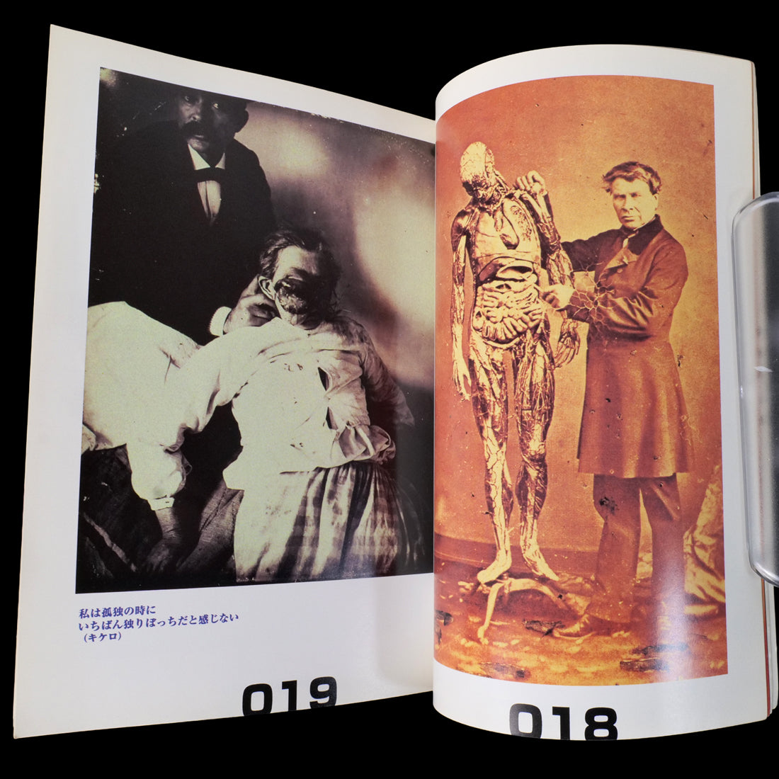 TOO NEGATIVE Jan 1997 New Launch