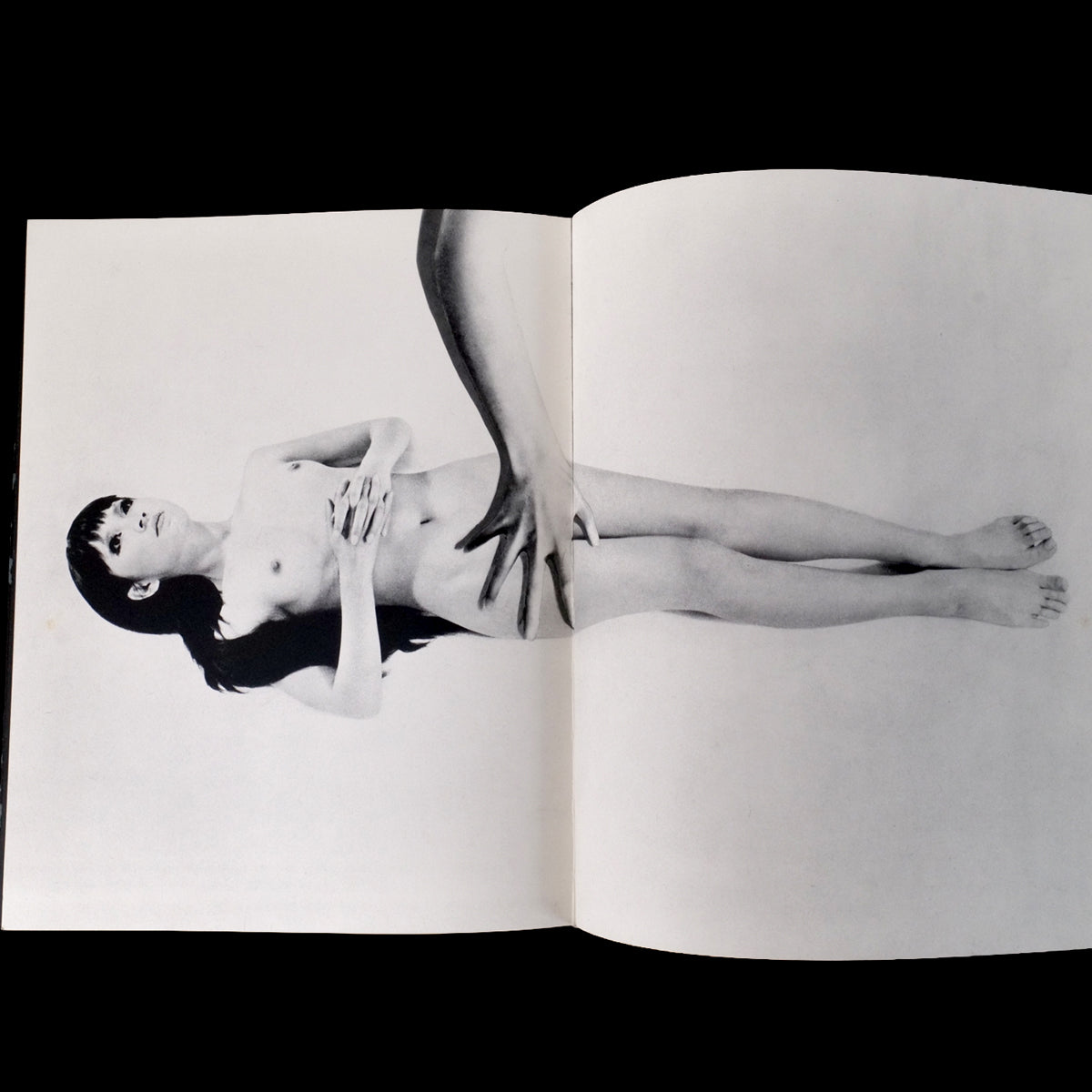 Les Fleurs du Mal - Mako Midori / Akira Suzuki (1968)