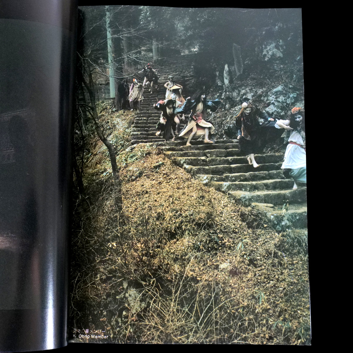 The Butoh - Mitsutoshi Hanaga (1983)
