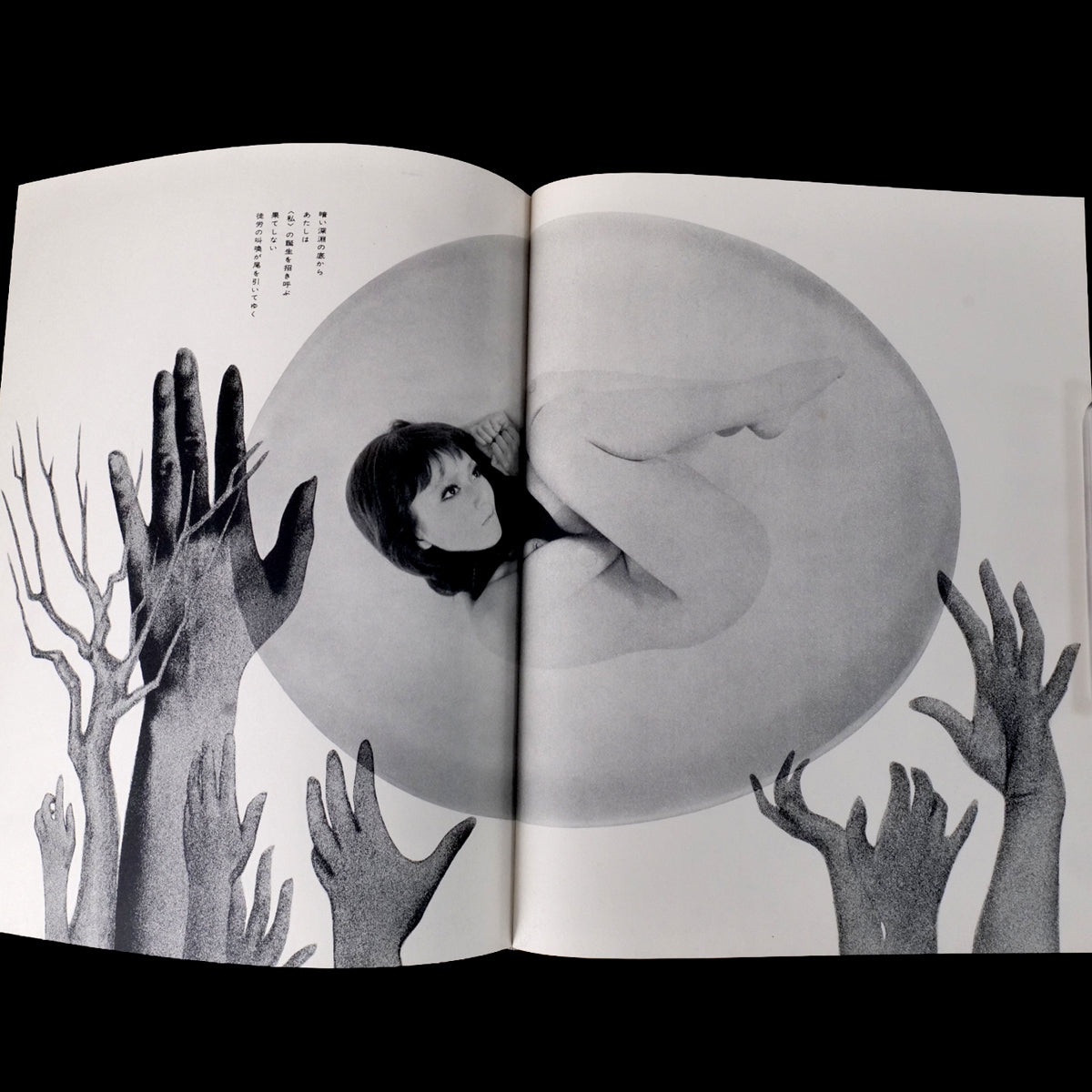 Les Fleurs du Mal - Mako Midori / Akira Suzuki (1968)