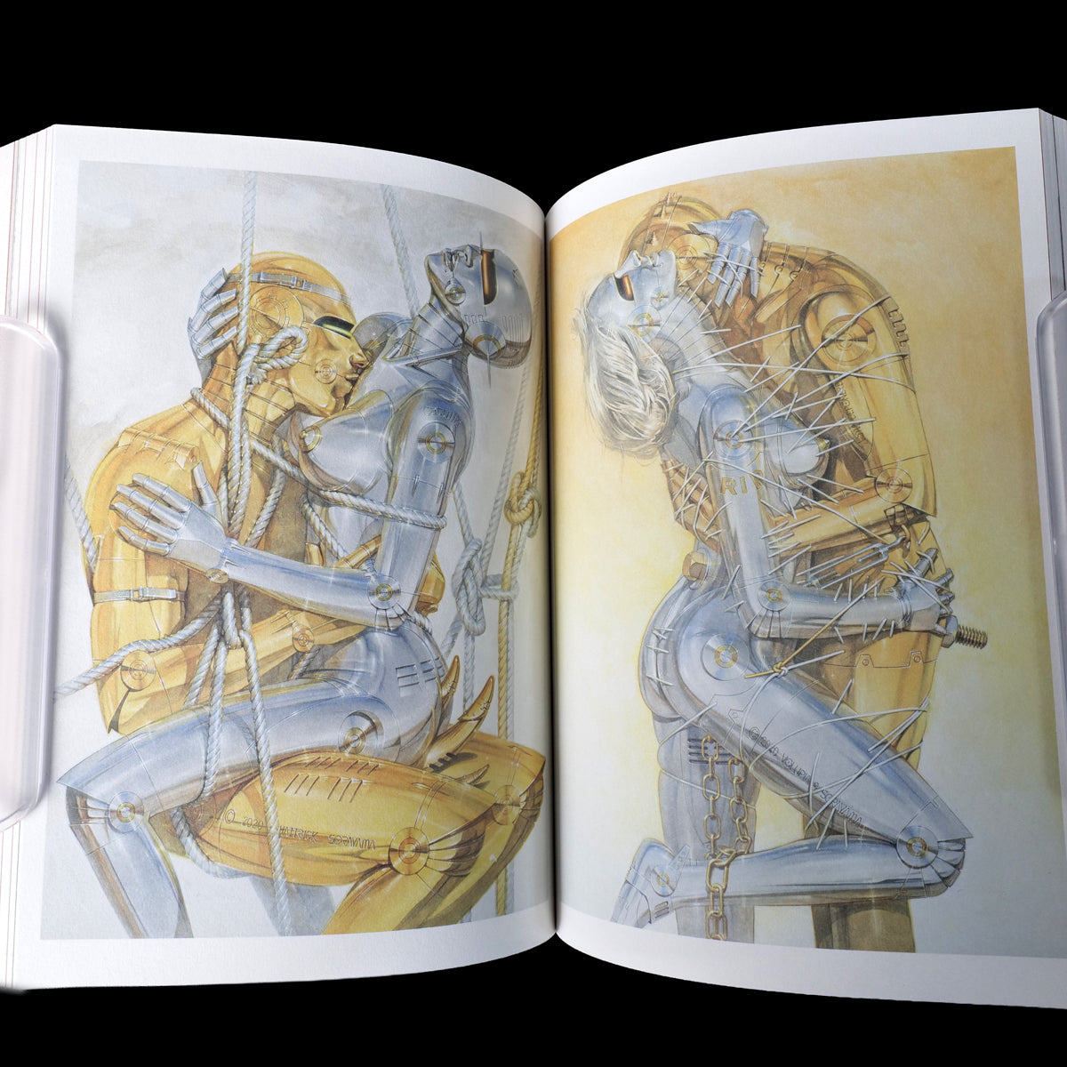 KINBAKU - The Golden Age of Japan Artworks Books (Expanded and Revised Edition)