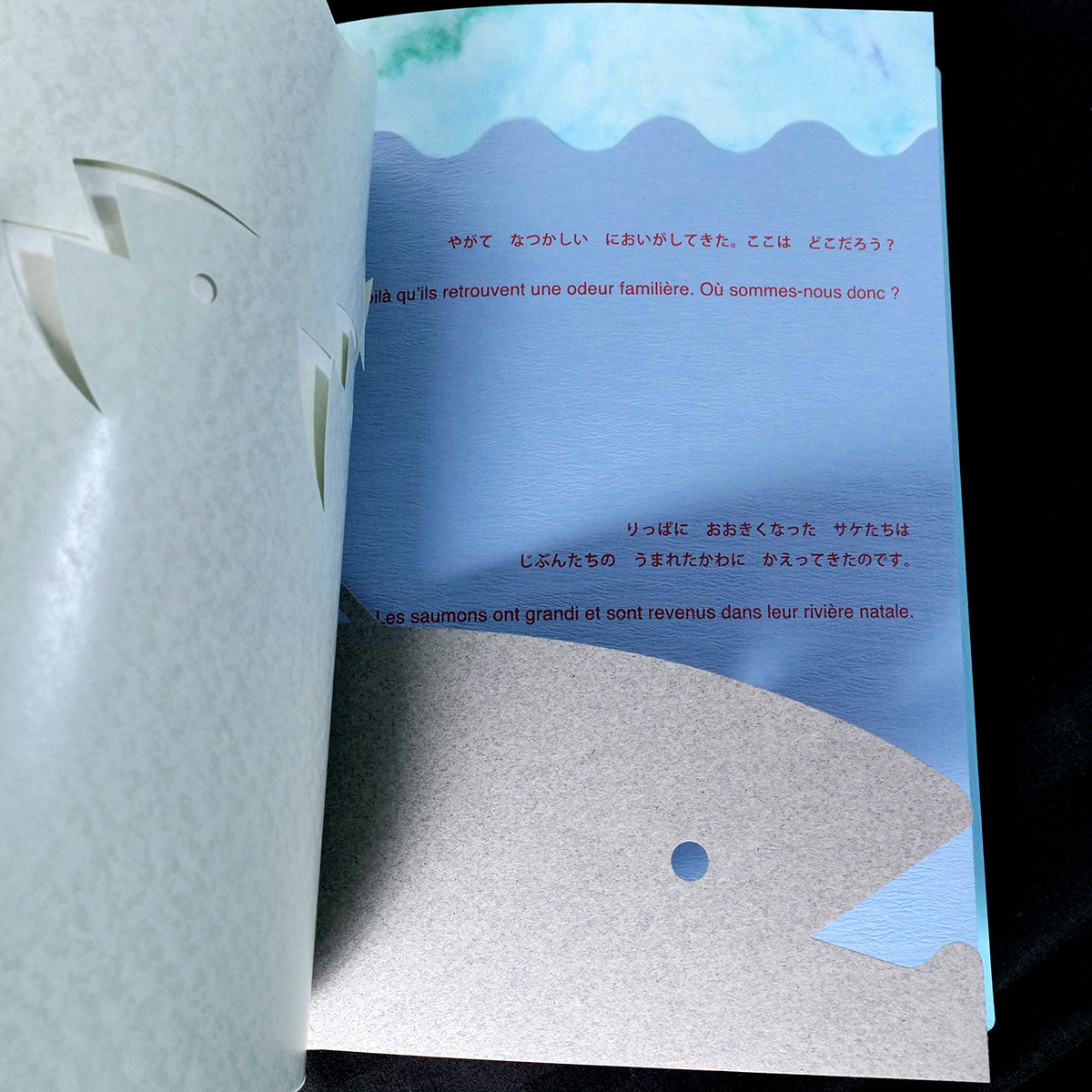 Katsumi Komagata - BLUE TO BLUE