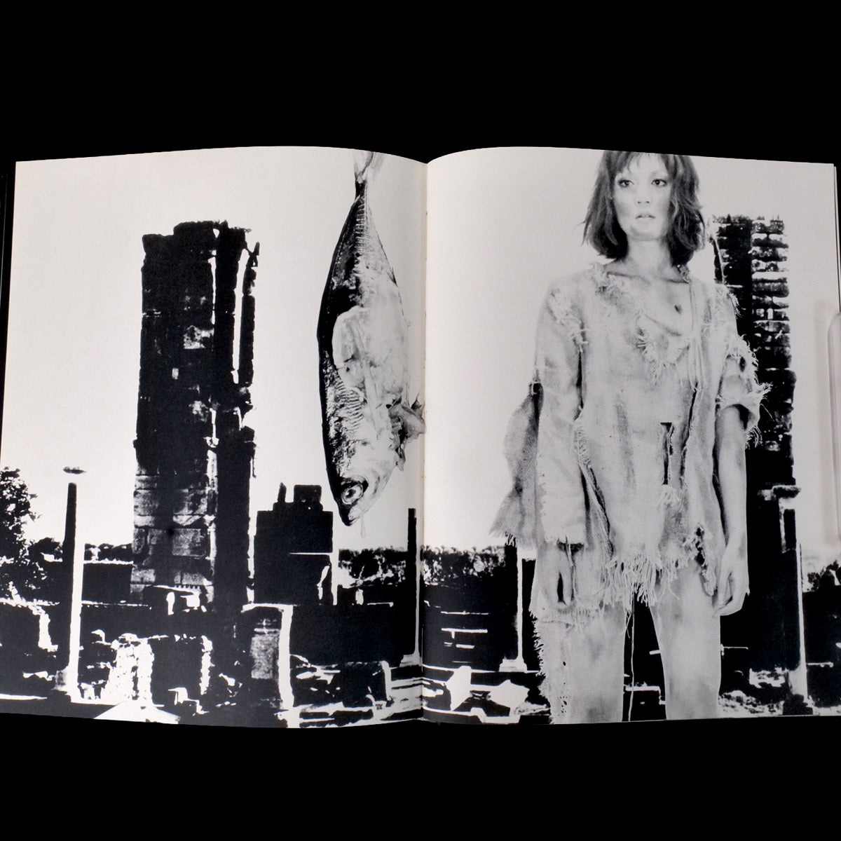 Les Fleurs du Mal - Mako Midori / Akira Suzuki (1968)