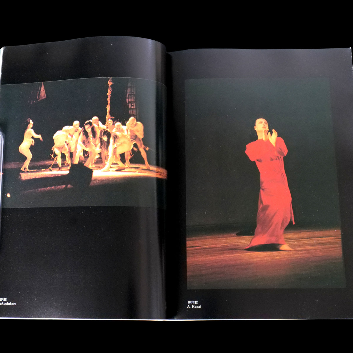 The Butoh - Mitsutoshi Hanaga (1983)