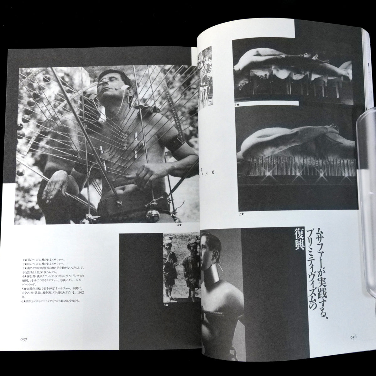 Yaso No.29 Discipline (1992)