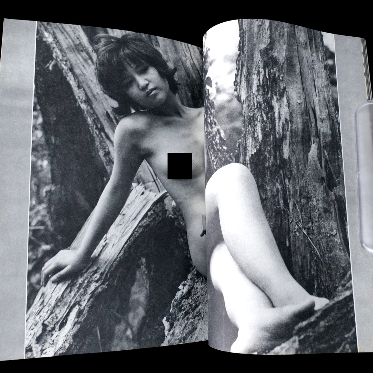 THE MODEL Vol.1 June 1964