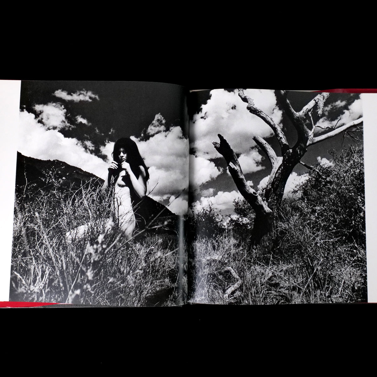 Ema Nude in Africa - Masaya Nakamura  (1978)