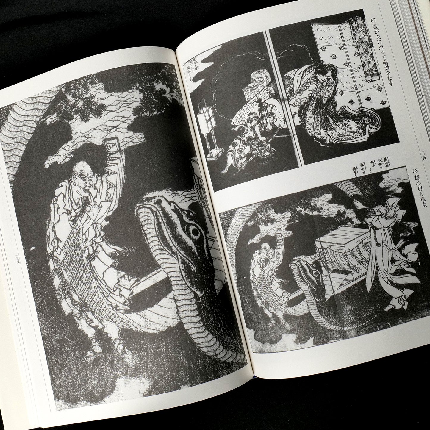 Katsushika Hokusai Yokai Hyakkei - Yokai Demon Art Book