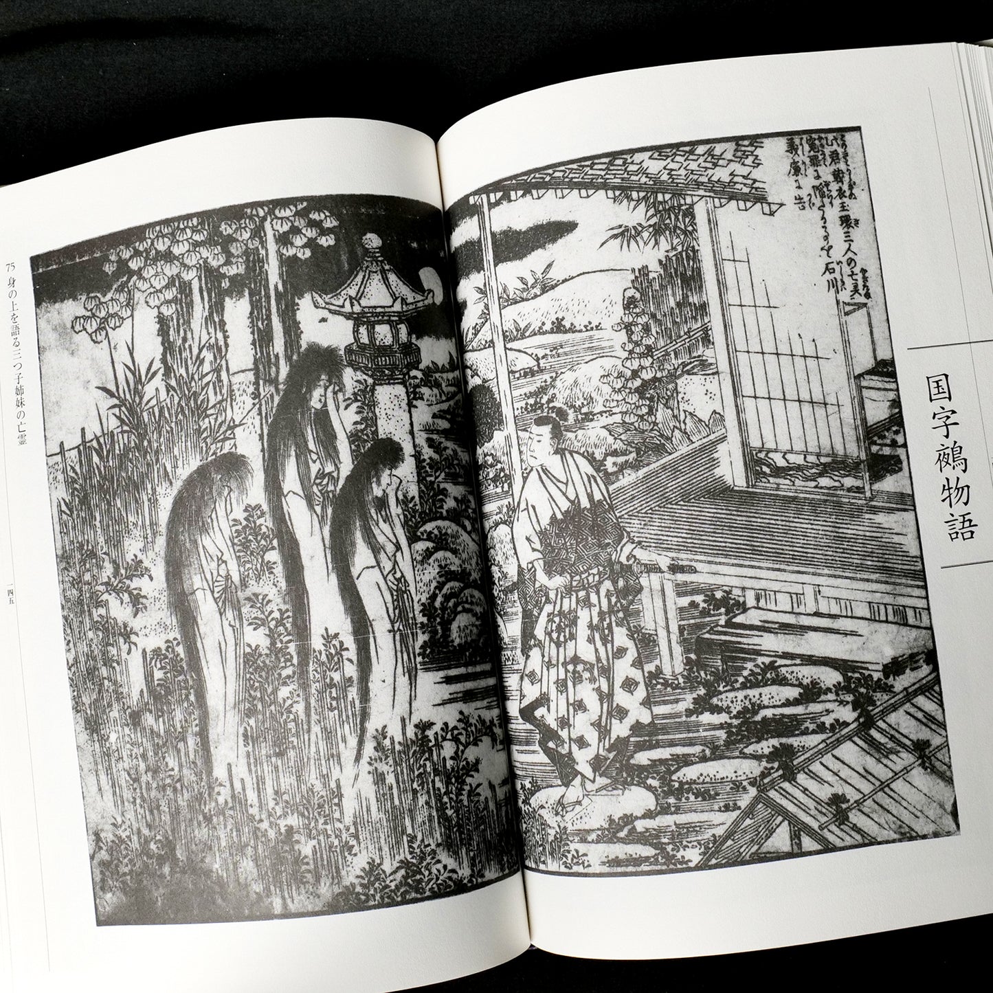 Katsushika Hokusai Yokai Hyakkei - Yokai Demon Art Book