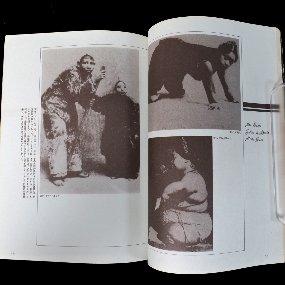 Yaso No.10 Monsters & Deformities (1983)