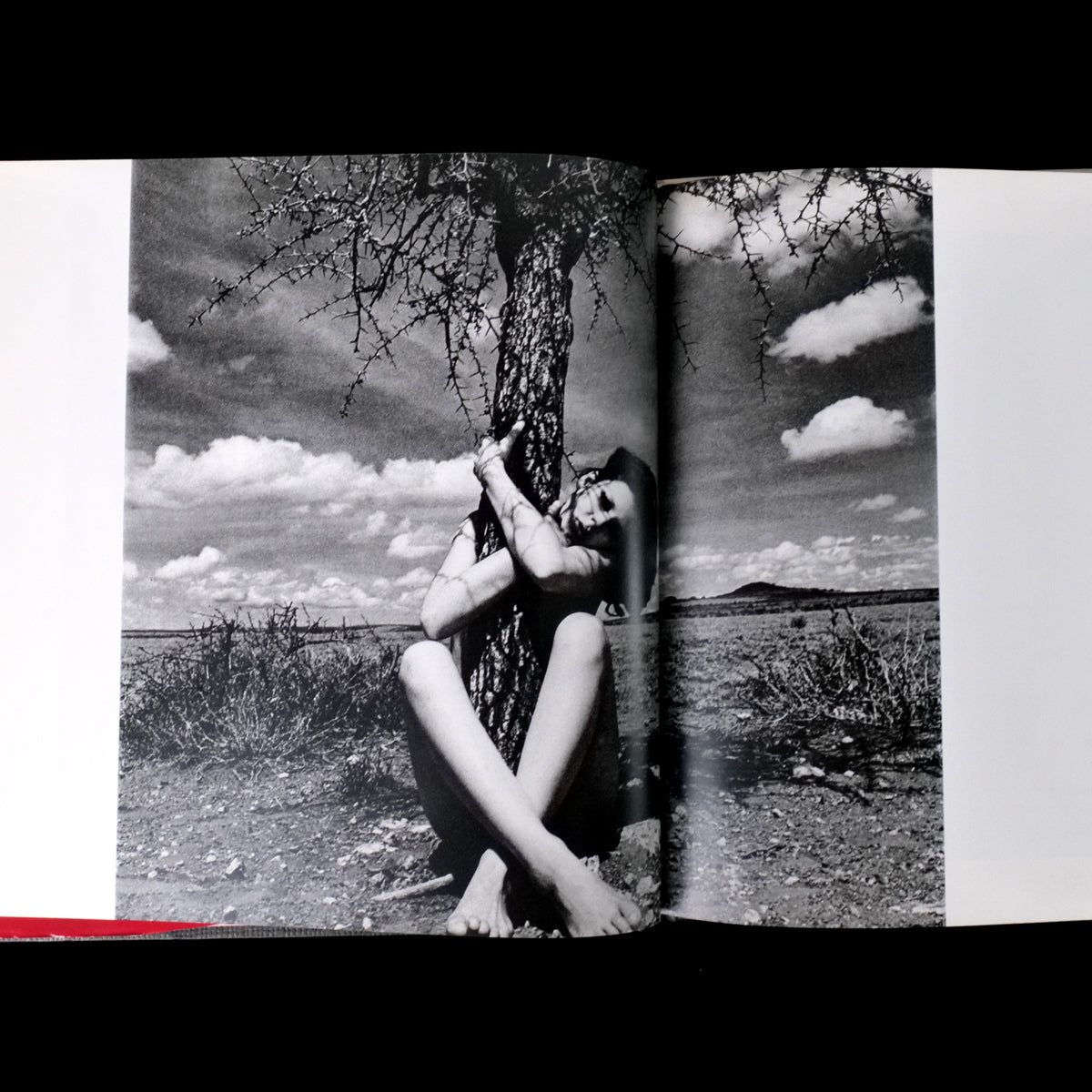 Ema Nude in Africa - Masaya Nakamura  (1978)