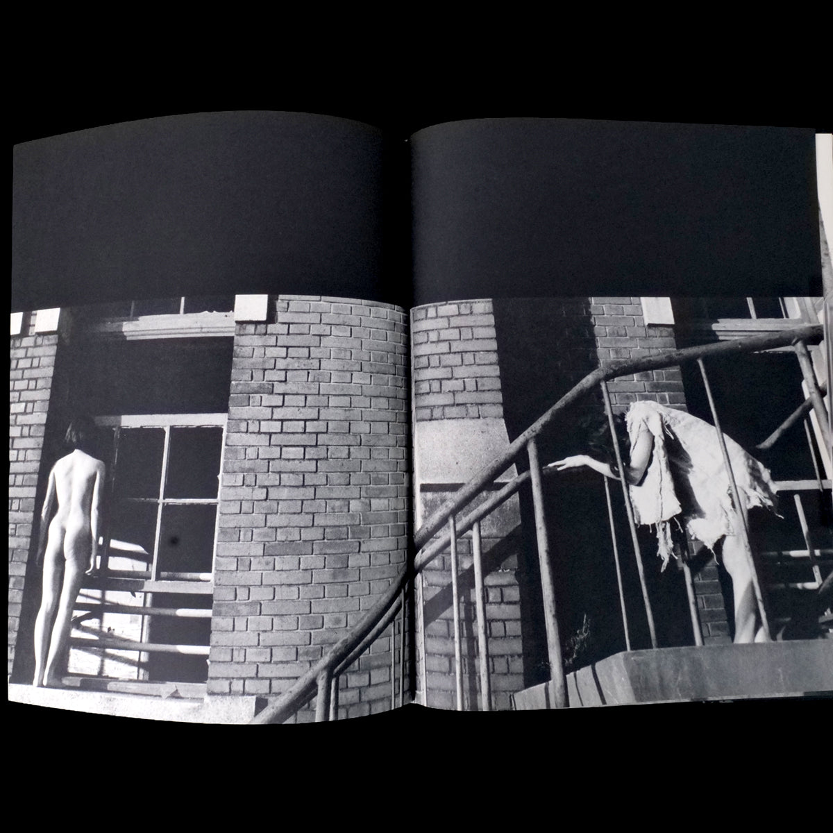 Les Fleurs du Mal - Mako Midori / Akira Suzuki (1968)