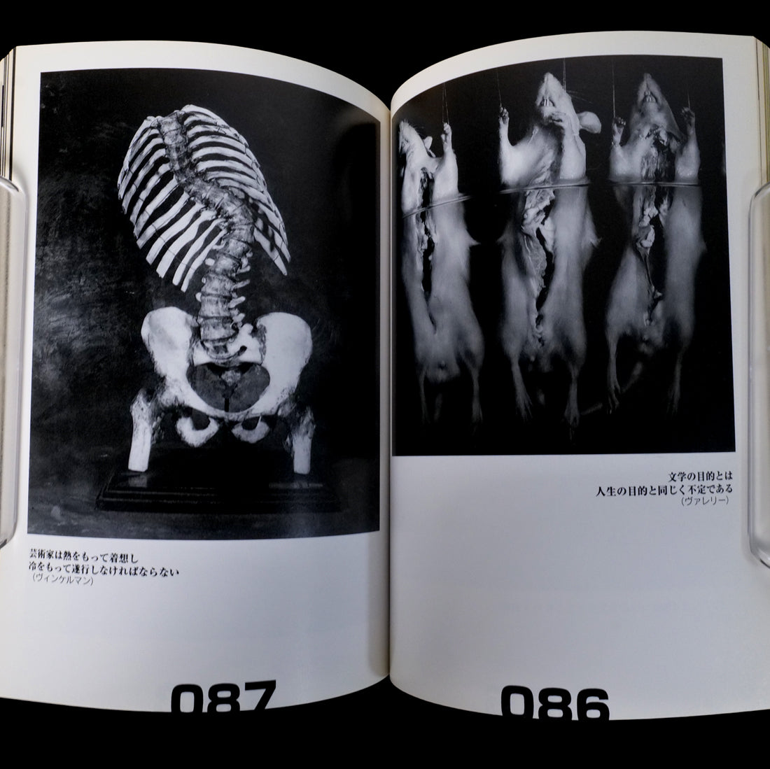 TOO NEGATIVE Jan 1997 New Launch