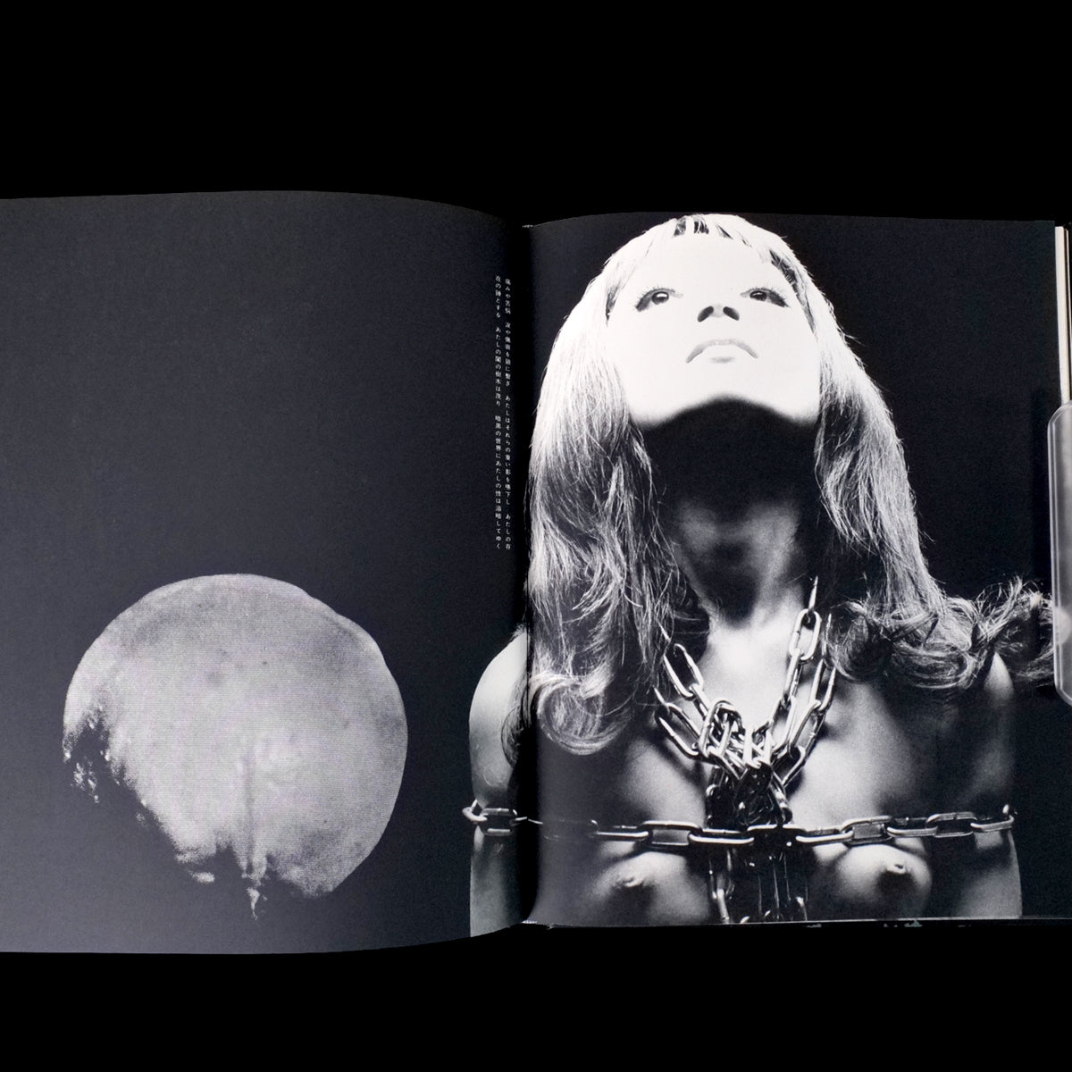 Les Fleurs du Mal - Mako Midori / Akira Suzuki (1968)