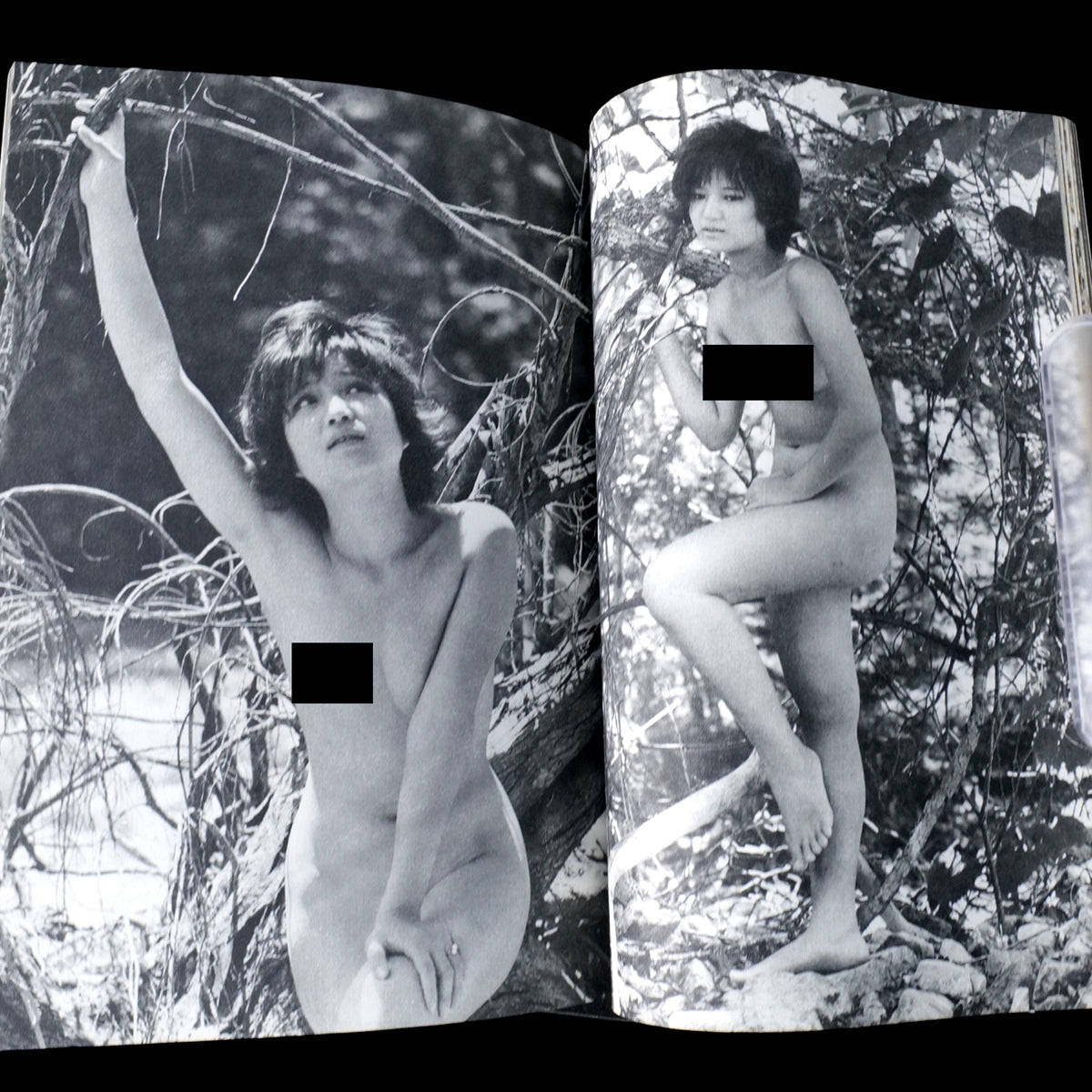 THE MODEL Vol.1 June 1964