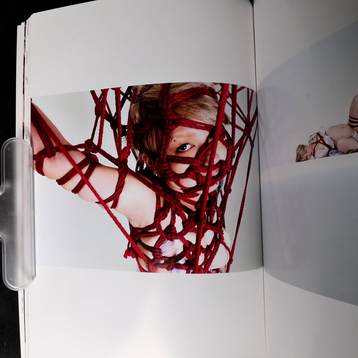 Perfect Red - Hajime Kinoko