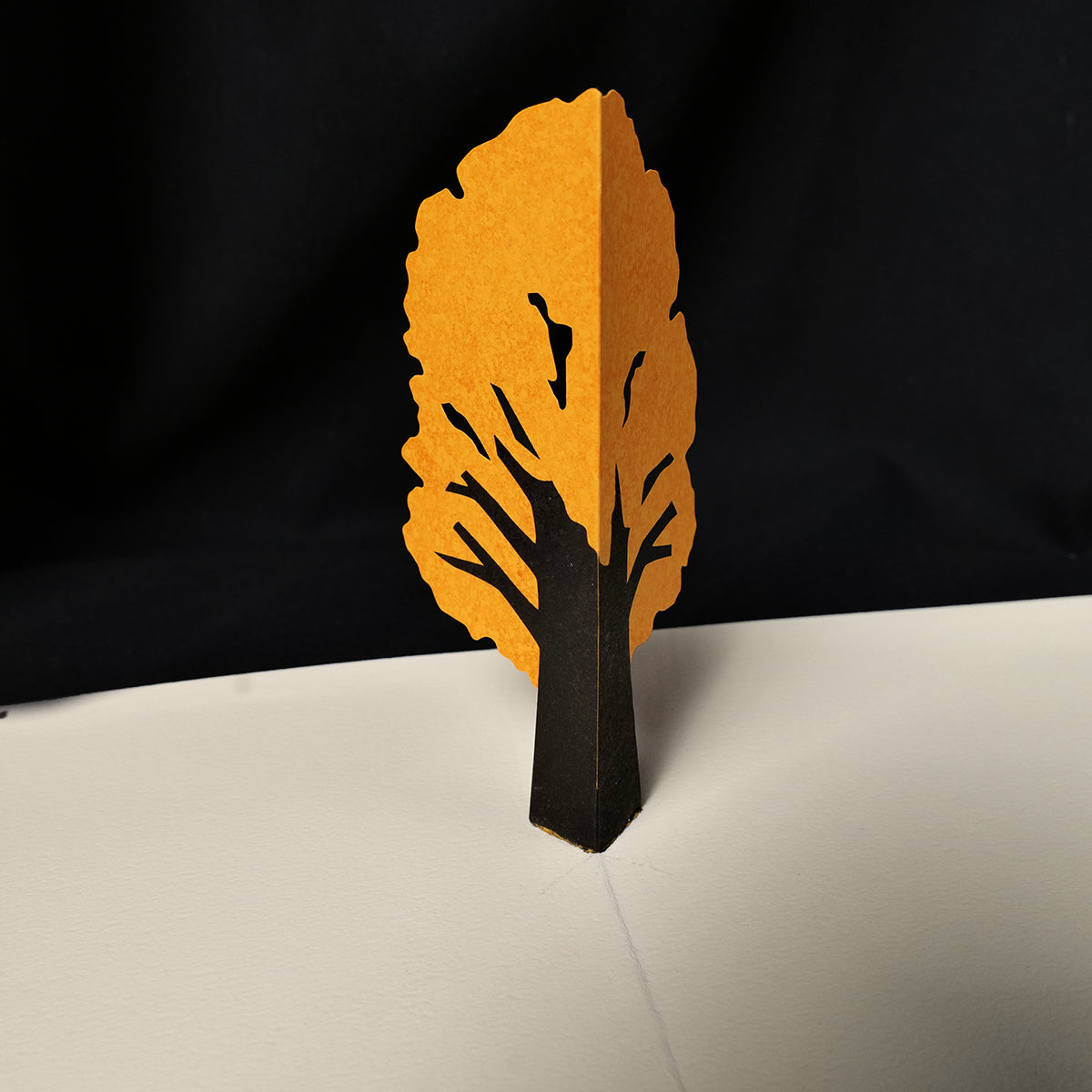 Katsumi Komagata - Little Tree