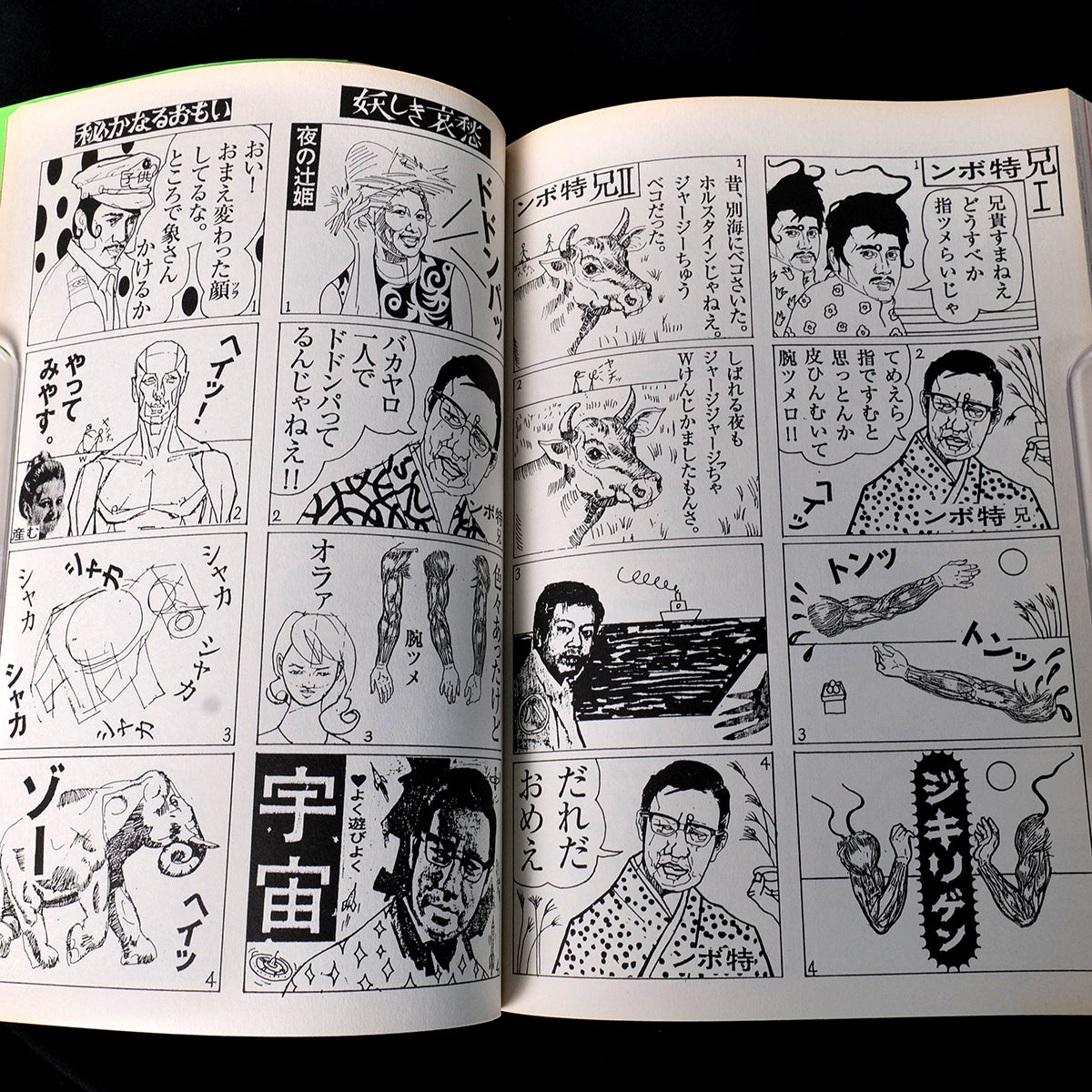 DONKEDELICO - Shinro Ohtake Yamataka EYE Art Book