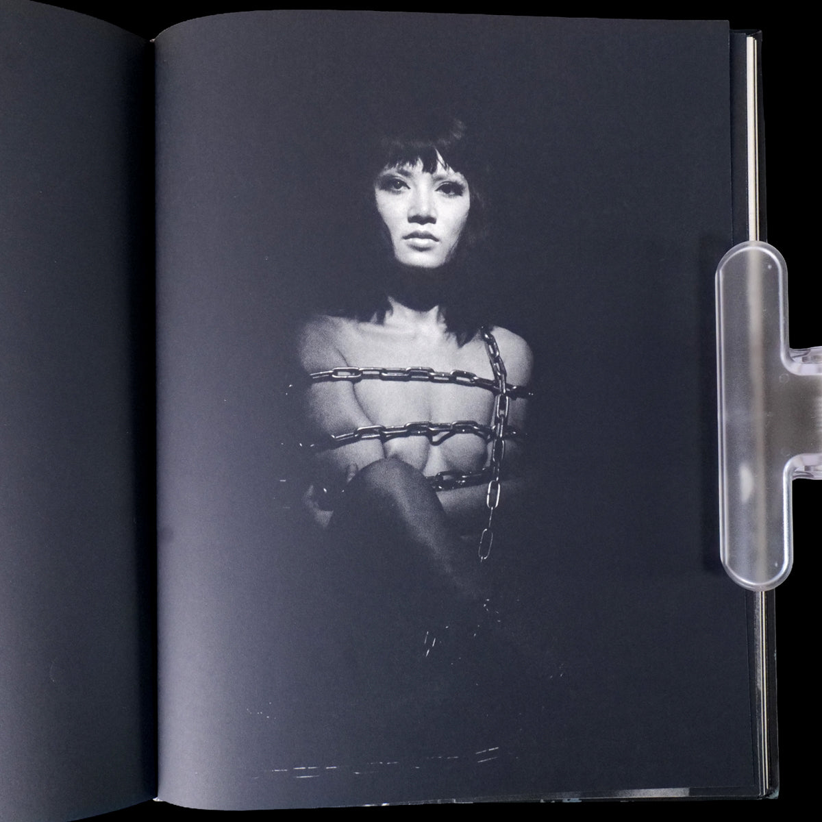 Les Fleurs du Mal - Mako Midori / Akira Suzuki (1968)