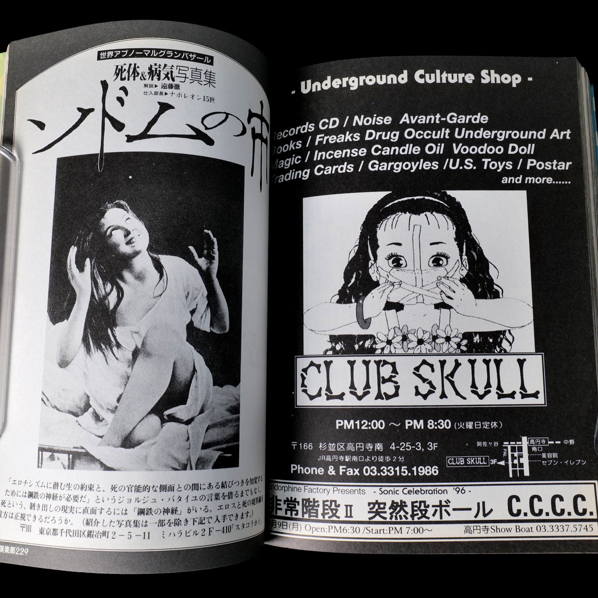 End of the Century Club Vol.2