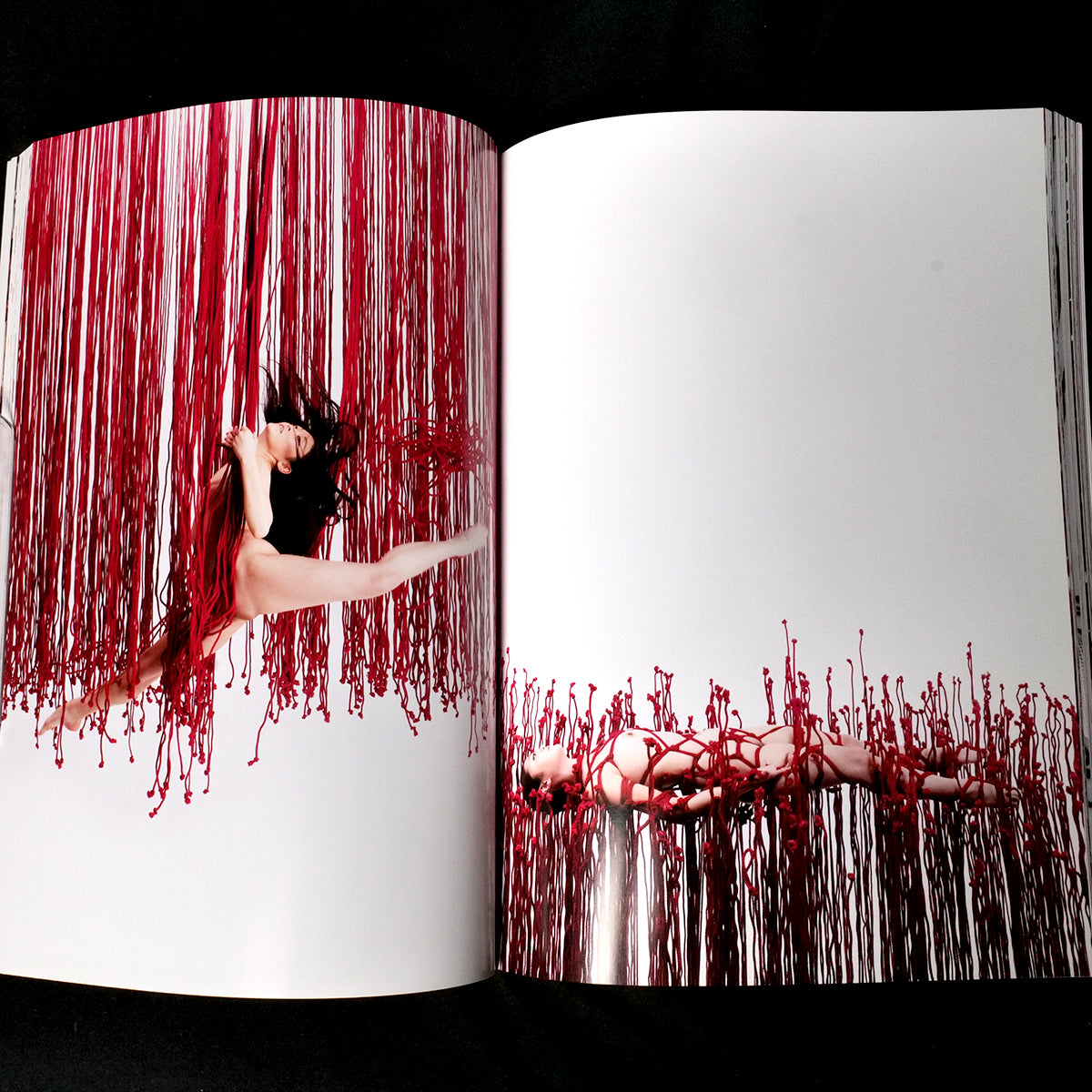 Perfect Red - Hajime Kinoko