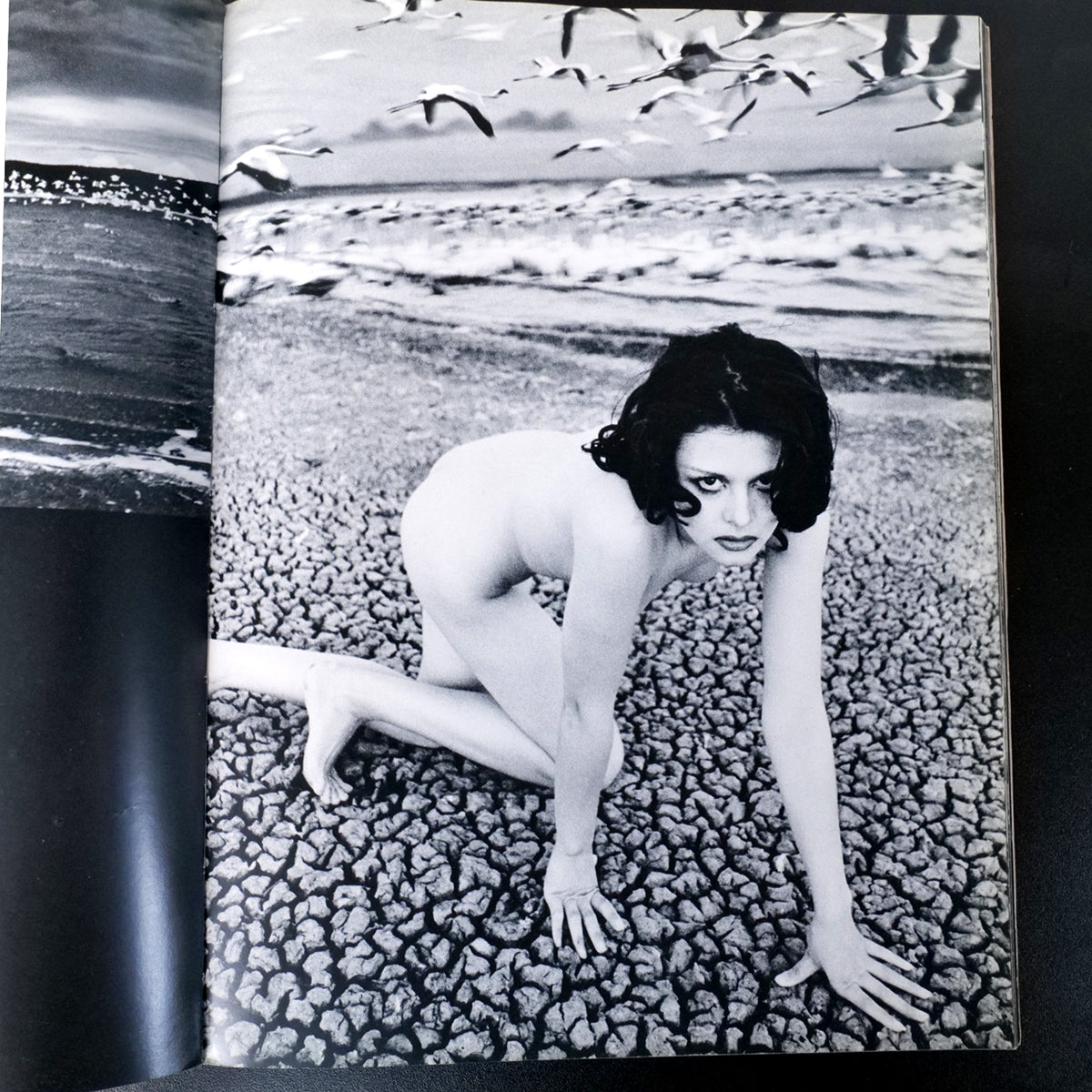Ema Nude in Africa - Masaya Nakamura (1971)