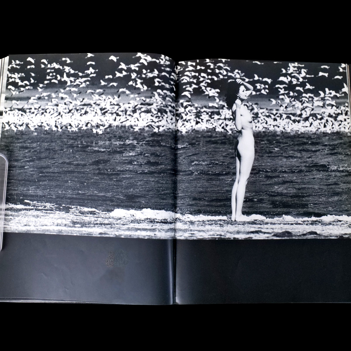 Ema Nude in Africa - Masaya Nakamura (1971)