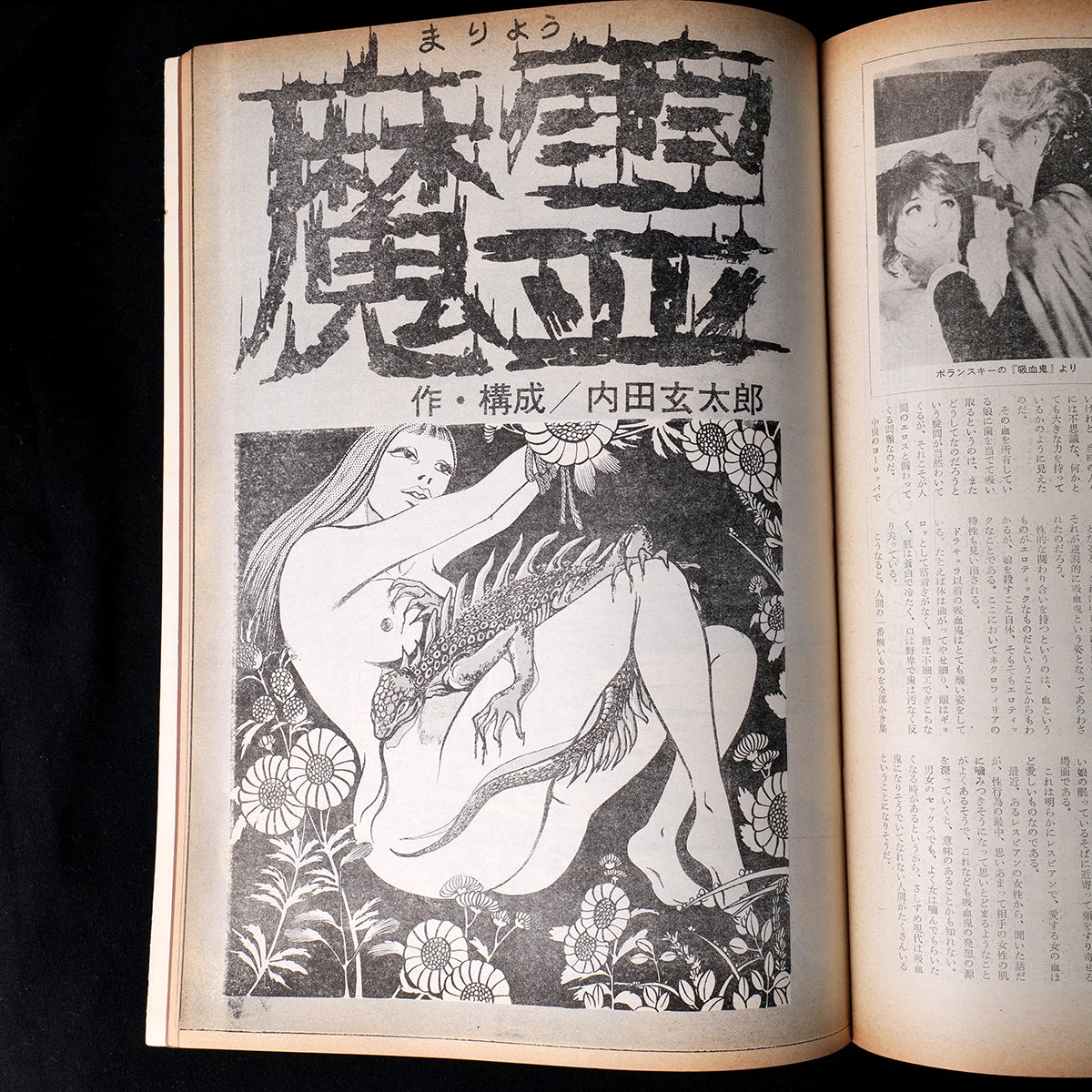 Top Punch Occult Special (1974)