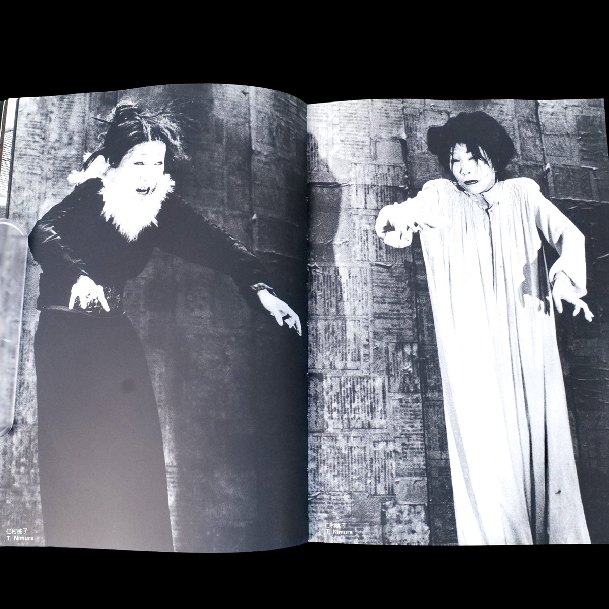 The Butoh - Mitsutoshi Hanaga (1983)