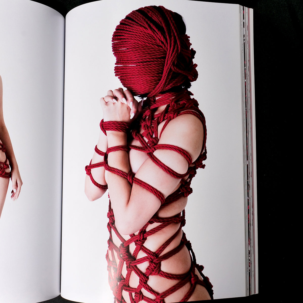 Perfect Red - Hajime Kinoko