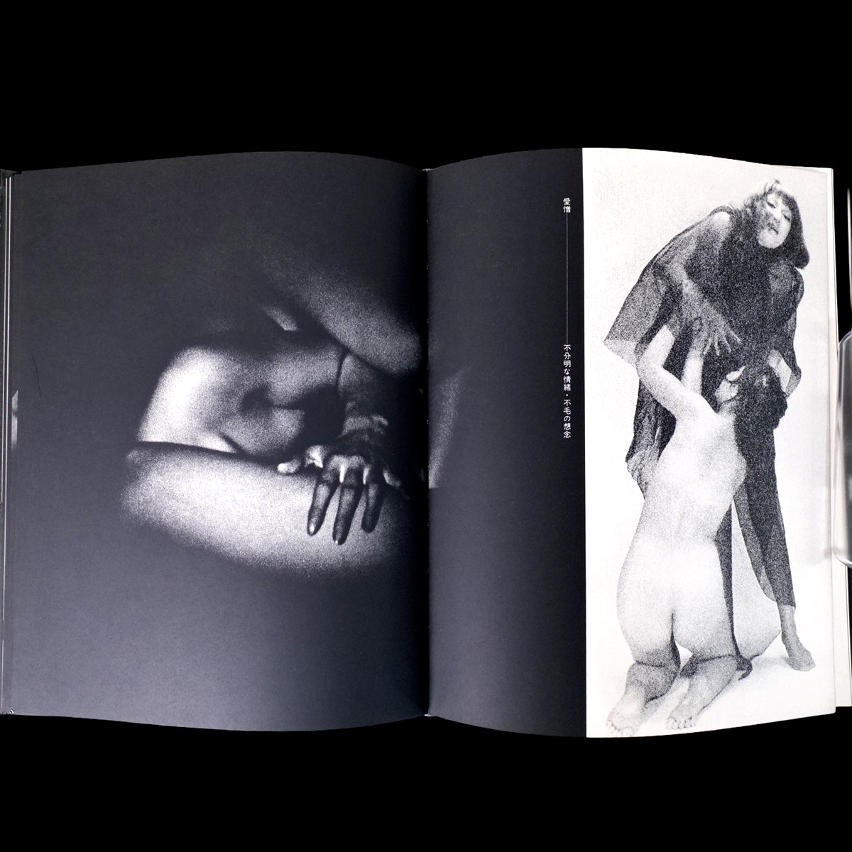 Les Fleurs du Mal - Mako Midori / Akira Suzuki (1968)