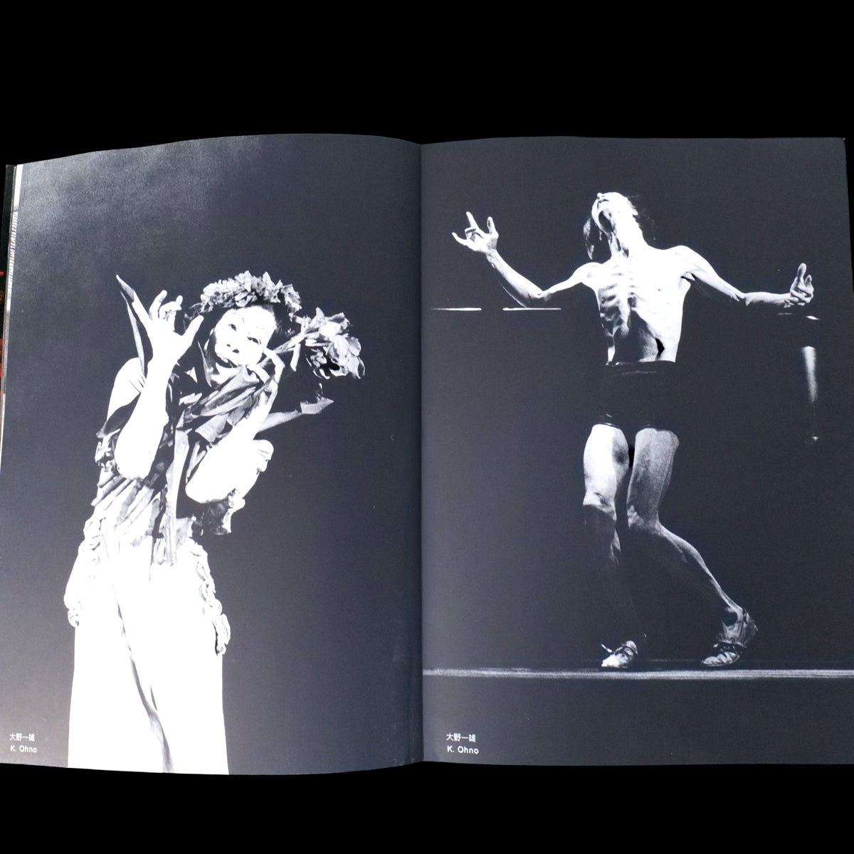 The Butoh - Mitsutoshi Hanaga (1983)