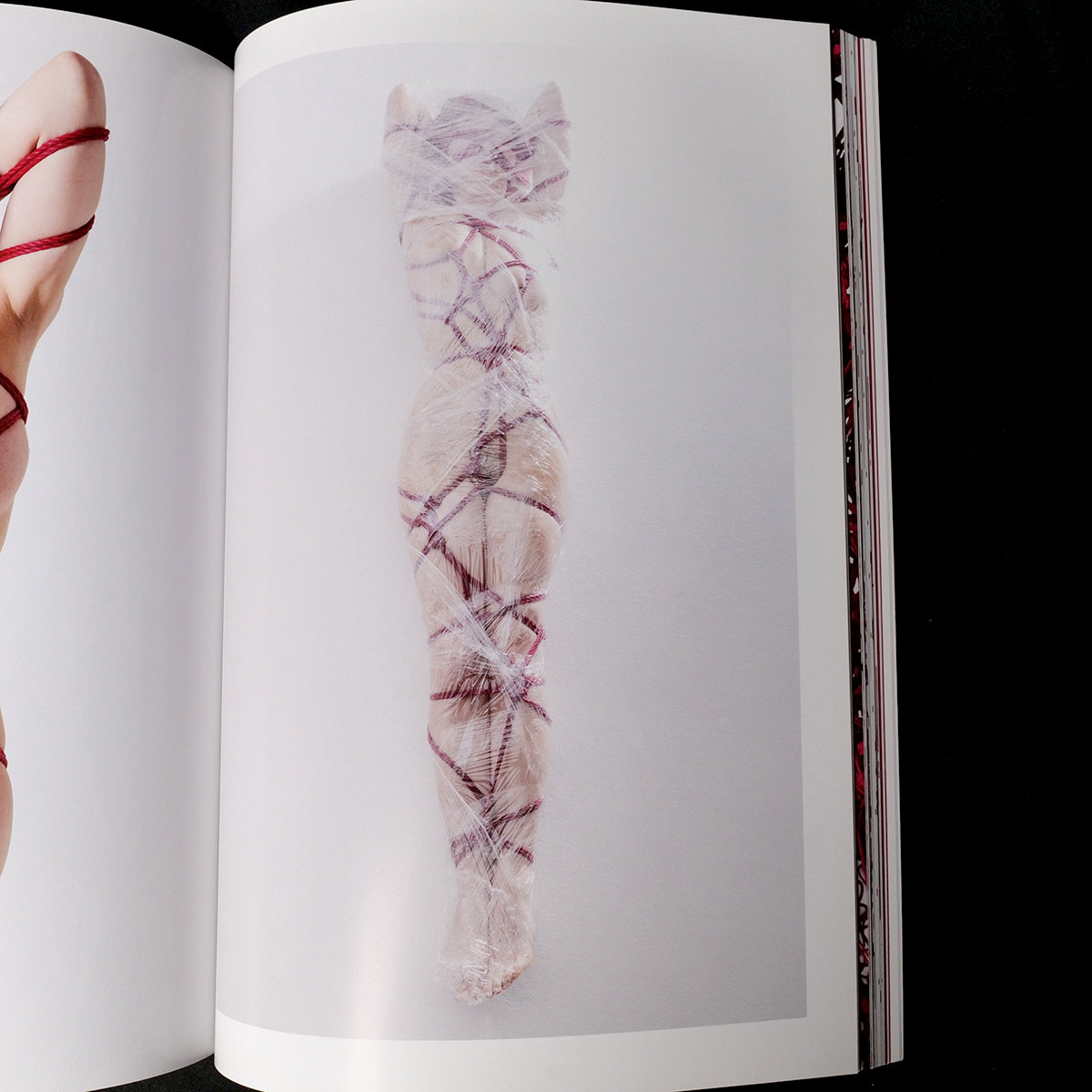 Perfect Red - Hajime Kinoko