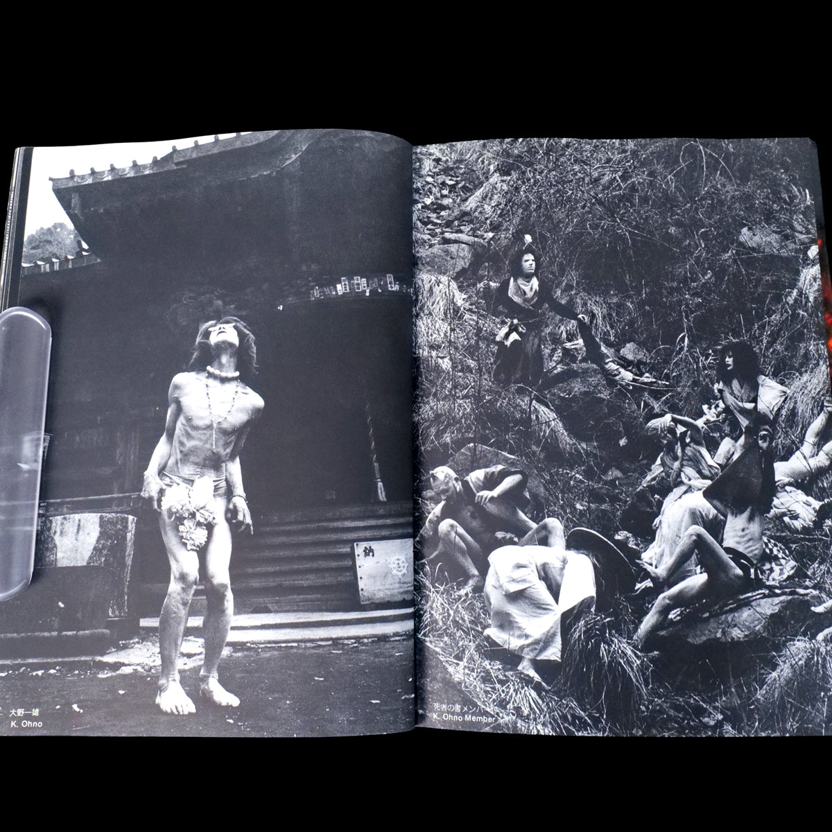 The Butoh - Mitsutoshi Hanaga (1983)