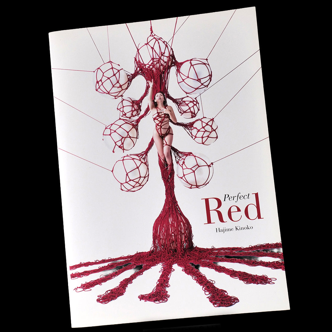 Perfect Red - Hajime Kinoko
