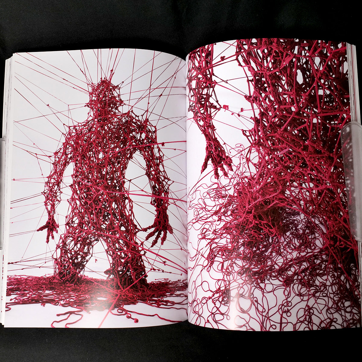 Perfect Red - Hajime Kinoko