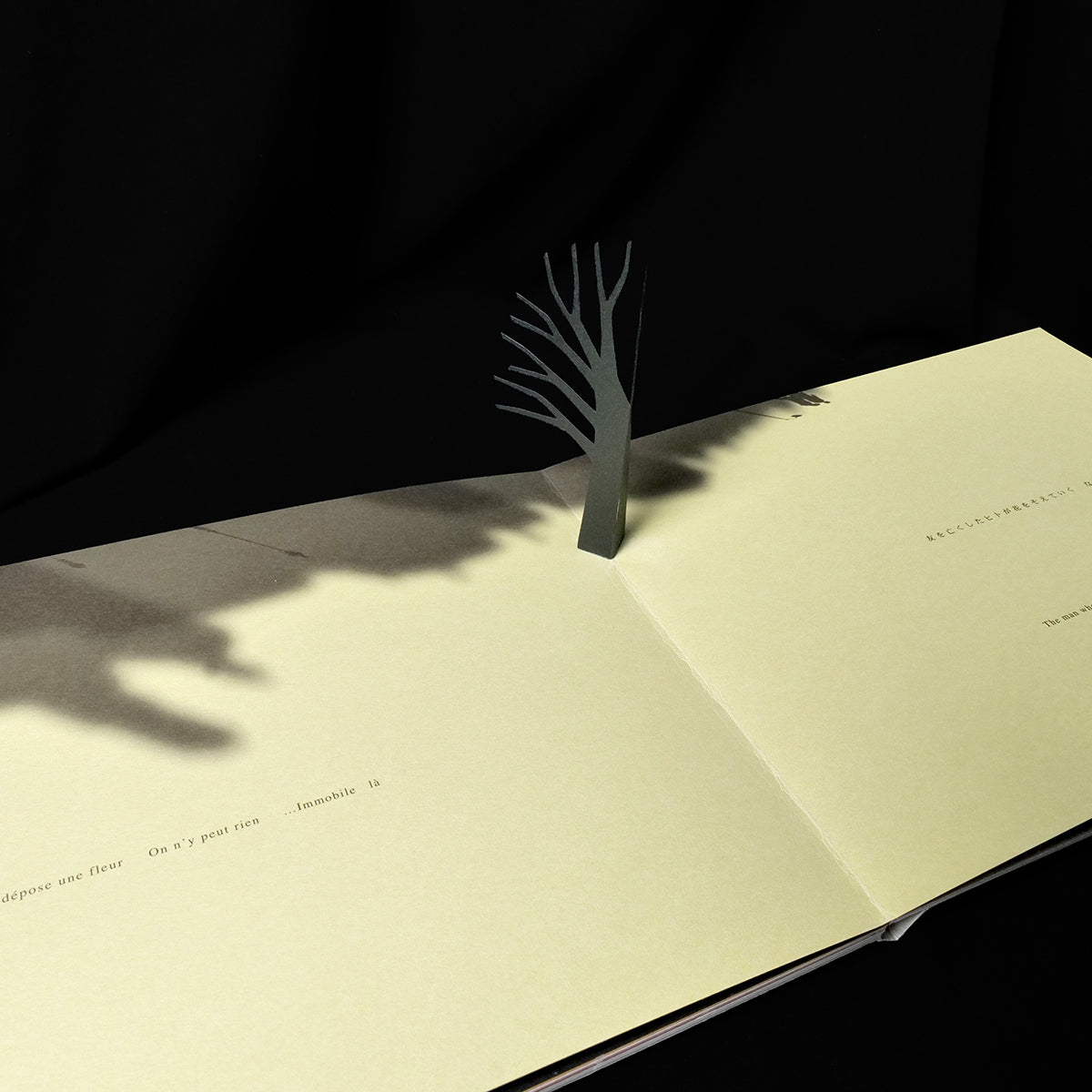 Katsumi Komagata - Little Tree