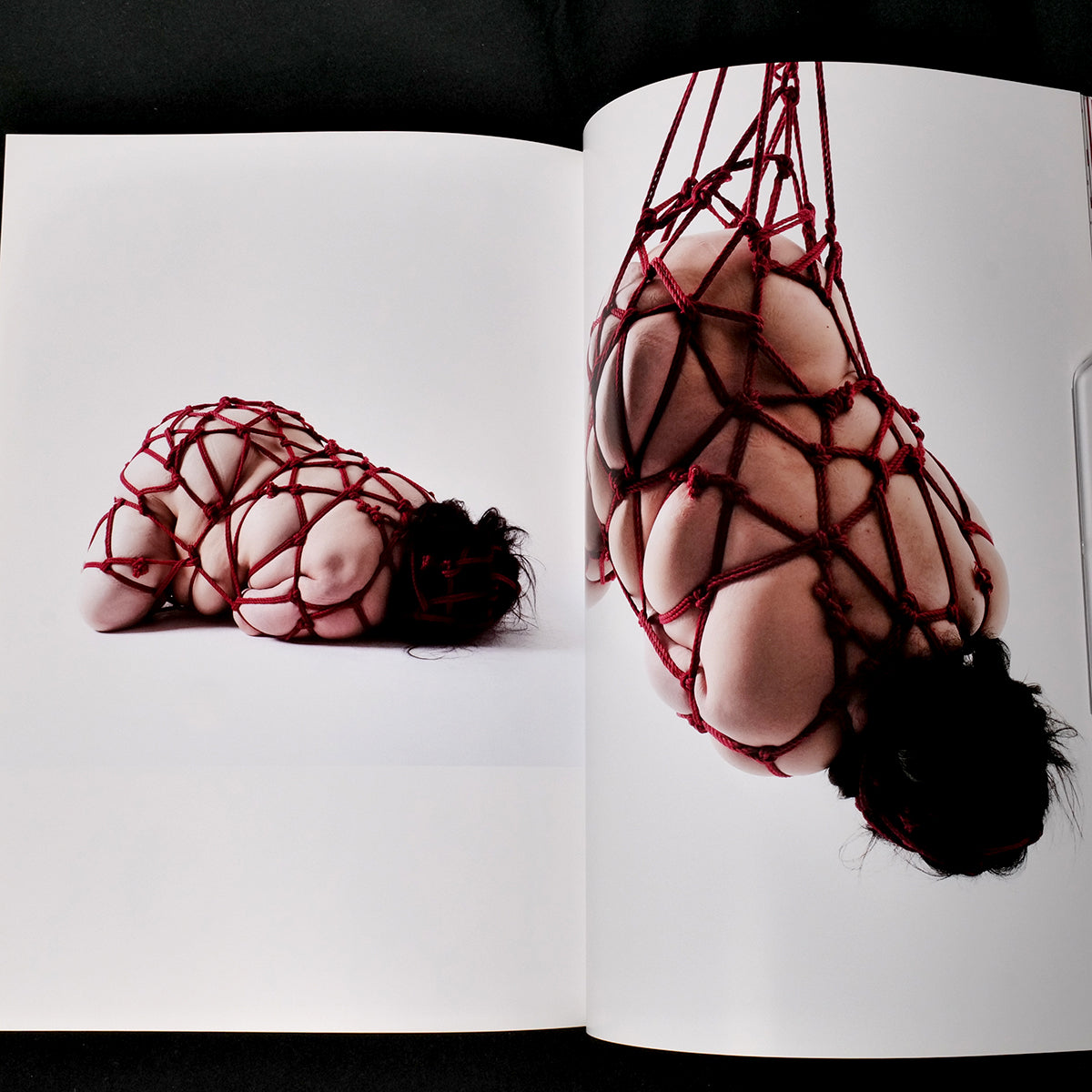 Perfect Red - Hajime Kinoko