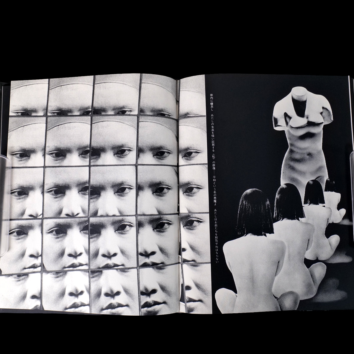 Les Fleurs du Mal - Mako Midori / Akira Suzuki (1968)