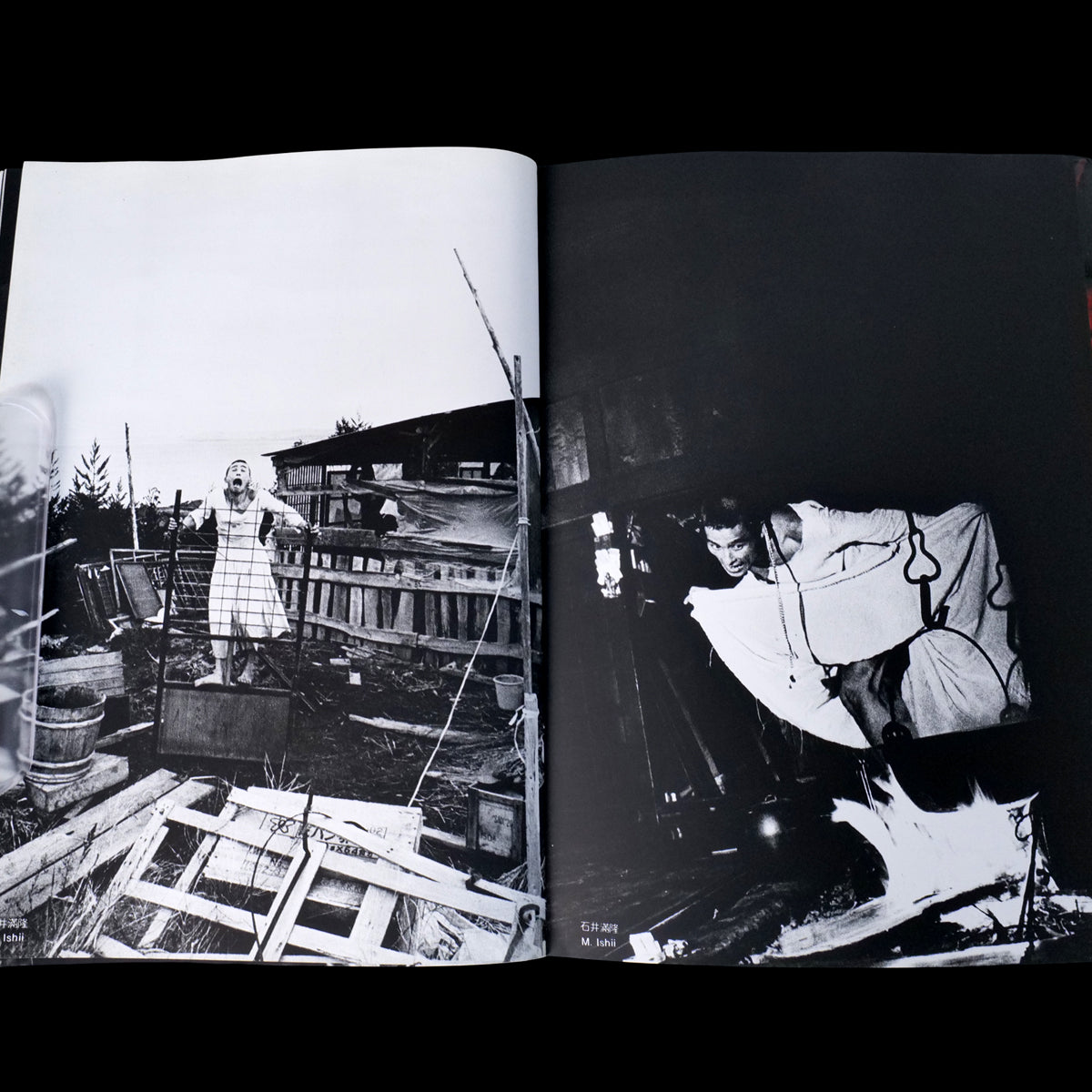 The Butoh - Mitsutoshi Hanaga (1983)