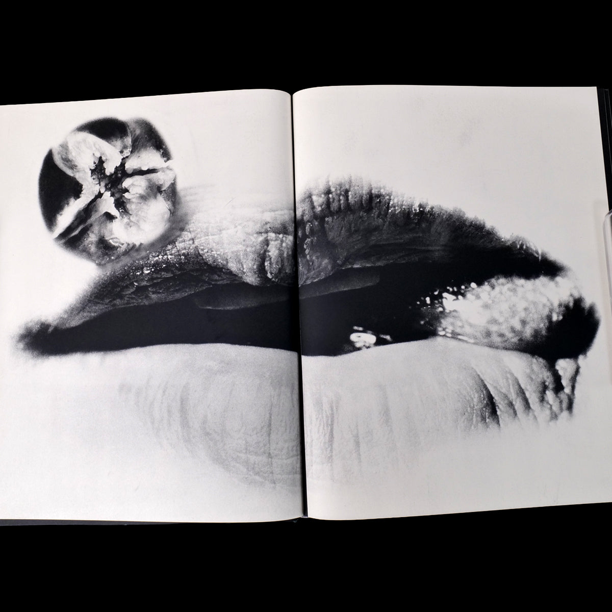 Les Fleurs du Mal - Mako Midori / Akira Suzuki (1968)