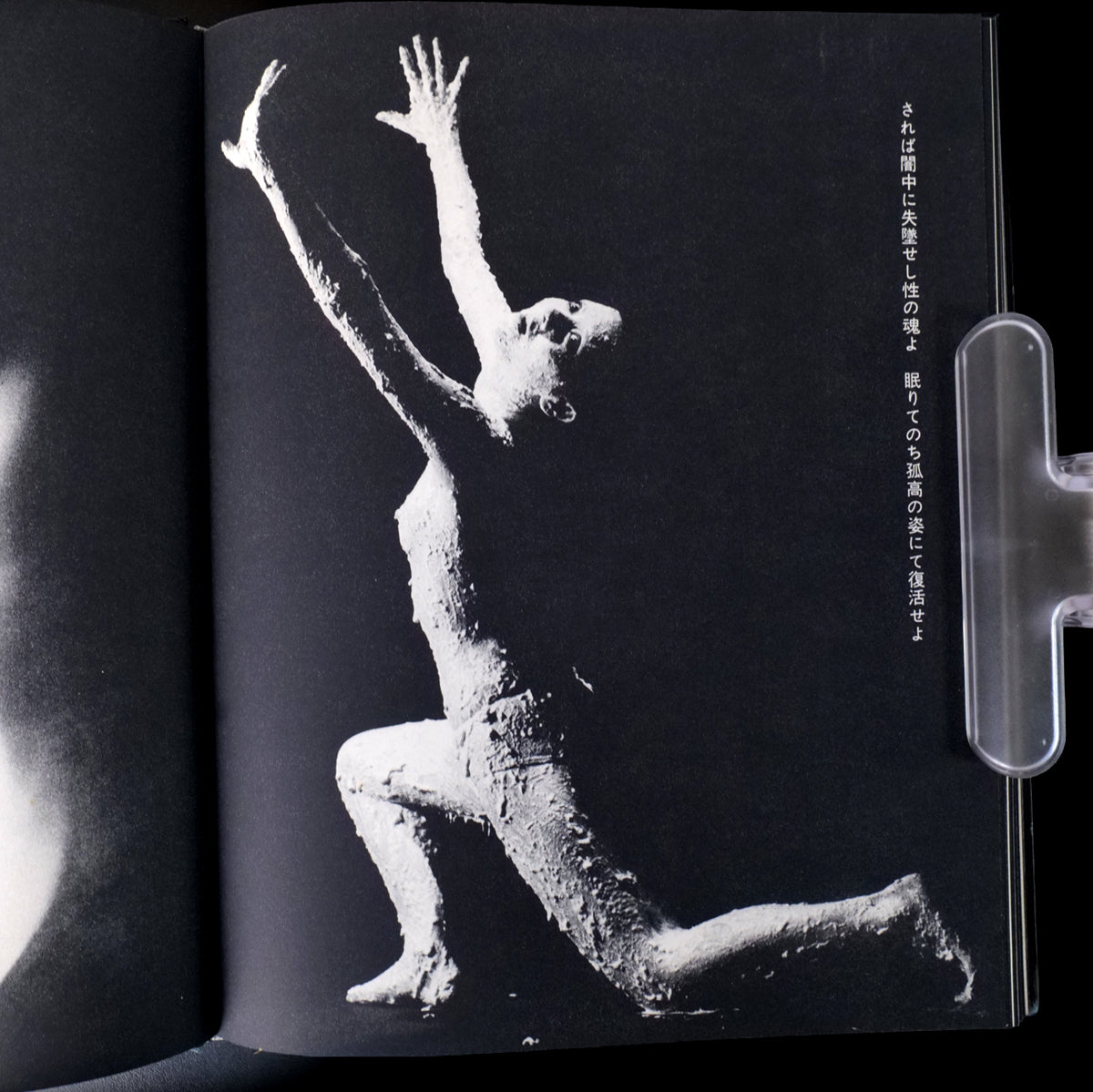 Les Fleurs du Mal - Mako Midori / Akira Suzuki (1968)