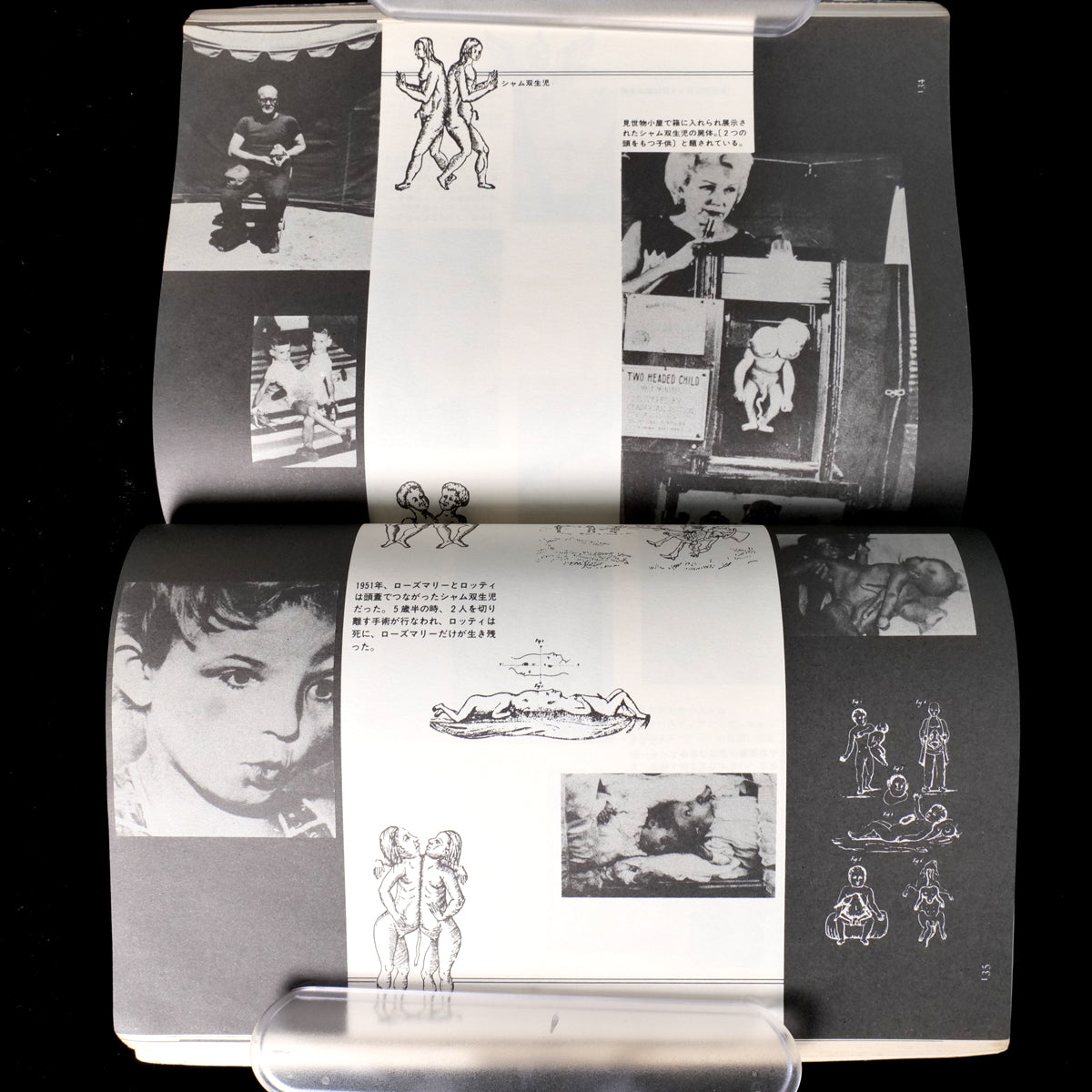 Yaso No.10 Monsters & Deformities (1983)