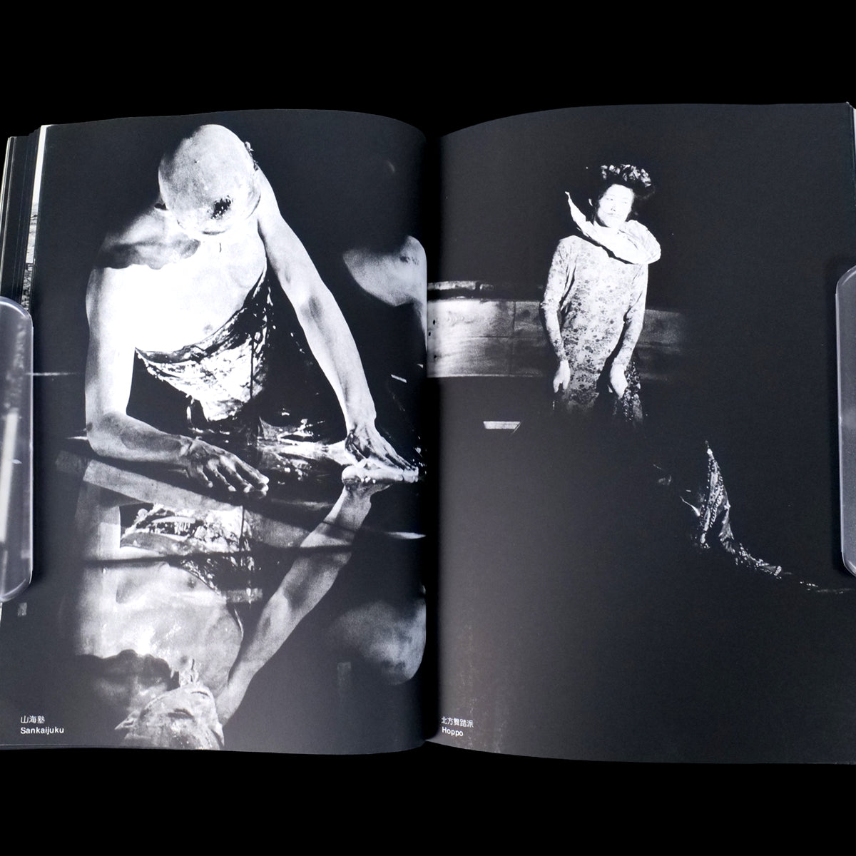 The Butoh - Mitsutoshi Hanaga (1983)